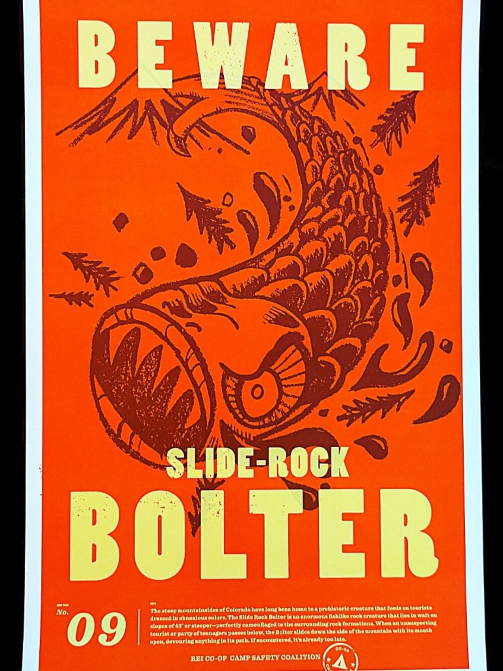 REI Co-op Poster 11x17 Slide Rock Bolter